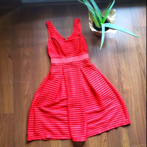 New York and Co Eyelet Orange Spring Dress Size 8 - Picture 2 of 9